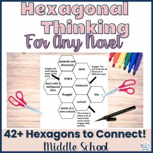 hexagonal thinking activity for any novel to demonstrate reading comprehension